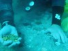 400 Gold Coins From 17th‑Century Dutch Ship Uncovered Off Devon After 30‑Year Hunt