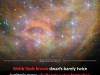 Webb Telescope Discovers Tiny Brown Dwarfs That Are Rewriting The Rules Of Star Formation