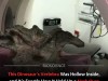 New Dinosaur Discovery Reveals How Long Necks Defied Gravity With Air Filled Bones