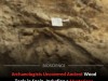 Rare Neanderthal Wood Tools Including a Mysterious Club Found in Spanish Cave