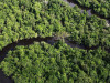 Amazon Rainforest: Facts, Threats & Guide