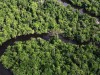 Amazon Rainforest: Facts, Threats & Guide