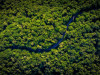 Amazon Rainforest Faces Rising Heat and Vanishing Rain