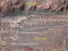 Mars’ Jezero Crater Mudstones Reveal Redox Chemistry