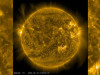 The Sun’s Solar Wind Stopped Fading and Is Growing Stronger