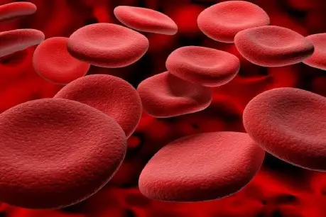 What is Hemoglobin? Types, Indications and Methods