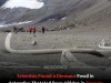 Second Sauropod Fossil Hidden Antarctic Titanosaur Tail Bone Revealed After 40 Years
