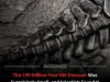 Tiny 190‑Million‑Year‑Old Indian Sauropod May Have Swung Its Tail to Deter Predators