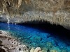 High‑Tech Scans Show 540‑Million‑Year‑Old Fossils Are Microbial Cells, Not Animal Burrows
