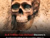 8.7-Million-Year-Old Turkish Ape Skull Revives Debate Over Hominine Birthplace