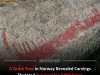Chance Discovery in Norway Reveals 3000 Year Old Rock Carvings of Ships and Humans