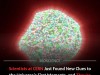 CERN Detects New Signs Of Primordial Quark-Gluon Plasma, Illuminating Big Bang Moments
