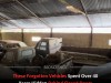 Over 60 Abandoned Classic Cars Discovered Stashed in a Crumbling European Building