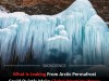 Hidden Thaw Beneath The Surface Is Triggering A Dangerous New Climate Feedback Loop