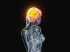 Hormone Waves Reshape the Brain: MRI Study Shows White and Gray Matter Shift Across the Menstrual Cycle
