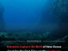 Scientists Capture First Direct Birth of New Ocean Crust at Southeast Indian Ridge