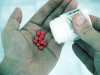 Scientists Discover Schwann Cell EP2 Receptor That Separates Pain from Protective Inflammation