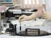 Clinical Audit in Laboratory: Framework, Process, and Role in Quality Improvement
