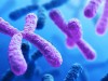 Scientists Reveal the Ape Y Chromosome Is Evolving Much Faster Than Expected