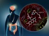 How Gut Bacteria May Shape Parkinson’s Disease