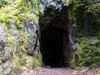 Scientists Entered a New Zealand Cave and Uncovered 1 Million-Year-Old Fossils of Mysterious Species