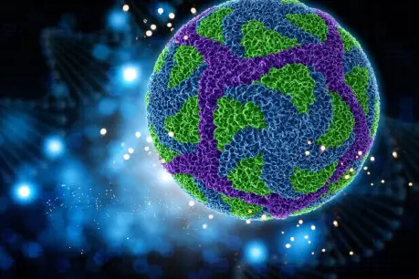 3D Zika Virus