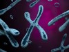 How Extrachromosomal DNA Helps Tumors Grow Faster and Stronger