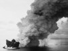 A Volcanic Island Born From Fire Stayed Nearly Untouched Since 1963 and Became a Rare Natural Lab for Life Starting From Scratch