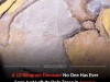 Scientists Discover New Dinosaur Species in Japan After Finding Ancient Egg Fragments