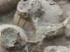 Ancient Shiloh Yields Three 3,000‑Year‑Old Jars That May Hold Biblical Wine Secrets