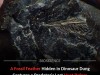 Fossilized Dinosaur Dung Reveals a Rare Snapshot of a Prehistoric Predator Last Meal