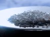 A College Student Mixed Water, Oil, and Nickel and Accidentally Created a Liquid That Refused to Obey Thermodynamics