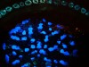 A Mysterious Blue Glow Could Signal a Deep Instability in Empty Space