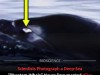 First Live Photos Reveal Elusive Ginkgo-Toothed Beaked Whale Linked to Mysterious BW43 Signal