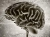 Just One Gene May Explain Why Most Alzheimer’s Disease Ever Happens