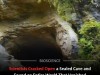 Volcanic Ash‑Sealed Cave Uncovers 16 New Species, a Lost New Zealand Bird‑Frog World