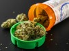 Scientists Are Defining How Much Cannabis Raises the Risk of Addiction