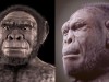 Scientists Found a 2-Million-Year-Old Skeleton From an Early Human