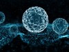 Researchers Develop Light-Controlled Molecules to Switch Cell Activity