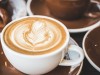 Scientists Discover Why Elephant-Digested Coffee Is Less Bitter