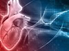 The Human Heart Shows a Surprising Ability to Repair Itself, New Study Finds