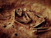 5,500-Year-Old DNA Rewrites the History of Syphilis