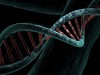 Scientists Just Overturned a Rule of Aging by Flipping One Genetic Switch