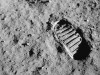 Moon Dust Reveals Why Earth’s Oceans Didn’t Come From Asteroids