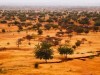 Tortoises Turn the Desert Green: How 500 Burrowing Giants Revived Sahel Soil