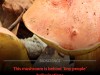 Mystery Mushroom Linked To Lilliputian Hallucinations Holds New Brain-Altering Compound