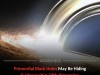 Primordial Black Holes May Reveal Evidence of a Hidden Fifth Dimension