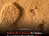 Curiosity Rover Finds Strange Shallow Pits on Mars That Defy Simple Explanation