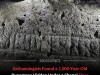 Hidden Runestone Unearthed Under Faroe Chapel Reveals Fragmented Old Norse Message