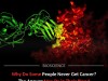 The Secret Antibodies That May Shield People From Cancer Revealed by ATLAS
